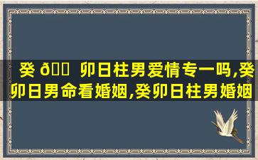 癸 🐠 卯日柱男爱情专一吗,癸卯日男命看婚姻,癸卯日柱男婚姻怎么 💐 样